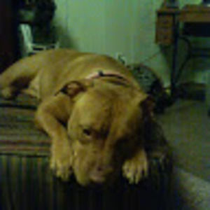 Meet your Posher, Christie